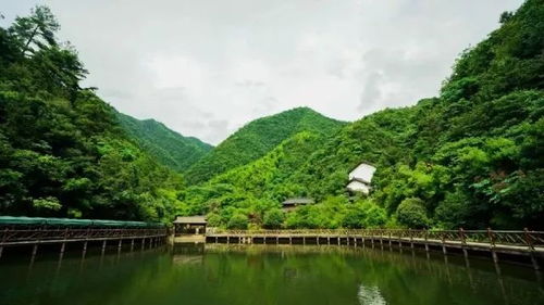 桐庐天子地 漂流.采摘.养生 ,满满当当的48小时