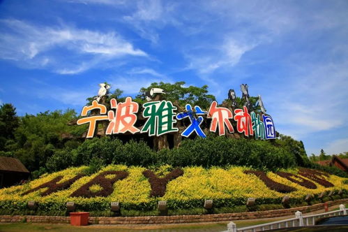 所有人,好消息 宁波这几家景区本周将恢复对外开放