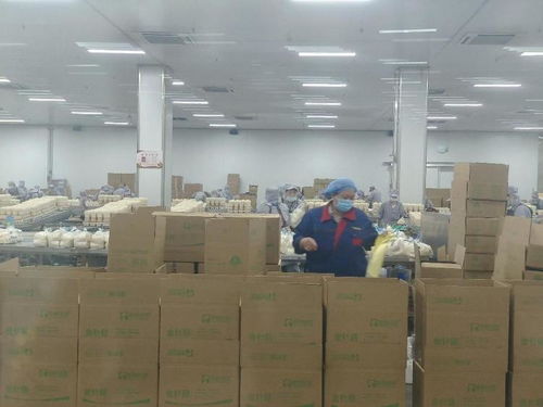 科技赋能,小蘑菇变成大产业