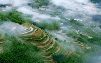 丽水南尖岩4a景区电子票