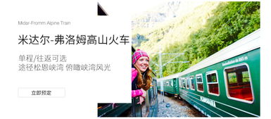 国庆早鸟 挪威缩影 卑尔根 米达尔火车票 双向单程可选 电子票免打印 3小时火焰红色高山小火车之旅 迷人沃斯小镇 沿途不可错过美景 挪威夏季旅游