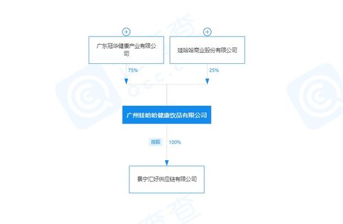 娃哈哈第三次创业失败了