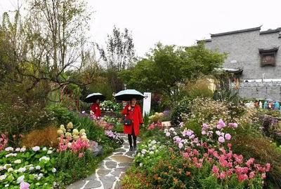 智慧景区产品动态_智慧旅游产品介绍_丝路智慧-丝路智慧