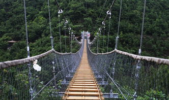 巫山峡谷旅游区电子票 巫山峡谷旅游区欢迎您 扫码入园 未用可退