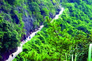 平安山生态旅游风景区电子票 平安山生态旅游风景区欢迎您 即买即用 未用可退