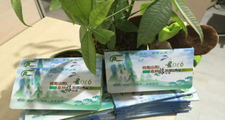 景区详情-山东森林旅游年票(电子票)