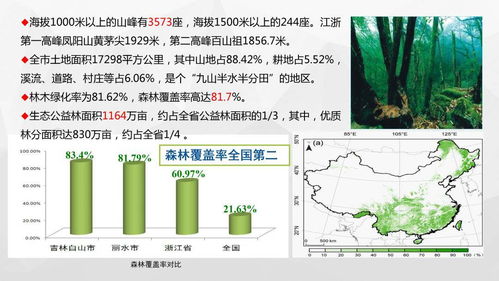 大力开发高山农产品助推丽水旅游美食业发展的思考