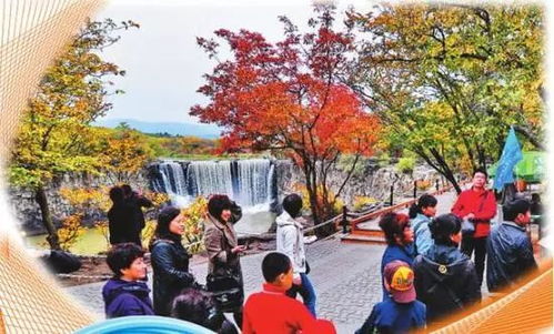 市场信息报 新闻早知道